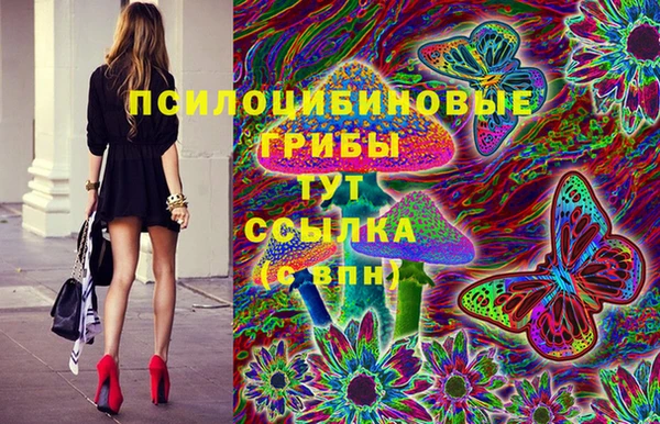 метамфетамин Алексин