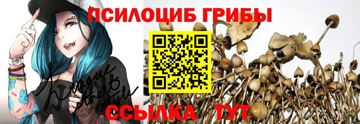 Лиски  Галлюциногенные грибы мухоморы  Вход с VPN 